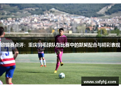 欧锦赛点评：重庆羽毛球队在比赛中的默契配合与精彩表现