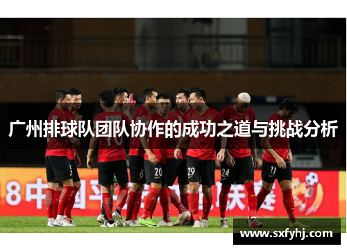 广州排球队团队协作的成功之道与挑战分析