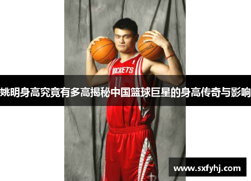 姚明身高究竟有多高揭秘中国篮球巨星的身高传奇与影响